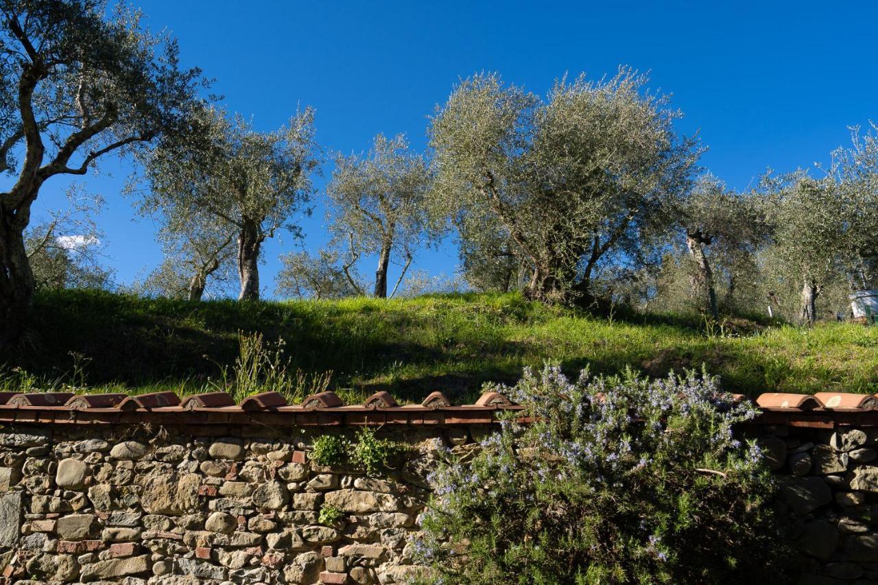 Alloggi In Villa Storica بيسيا المظهر الخارجي الصورة
