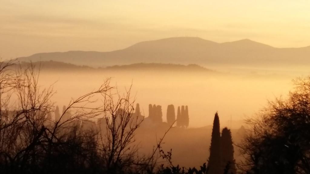 Alloggi In Villa Storica بيسيا الغرفة الصورة